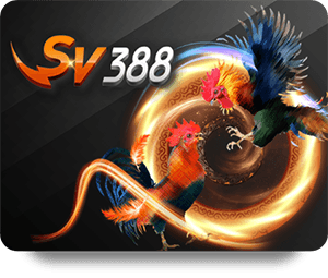 The Evolution of Slot Game Technology in Modern Casinos
